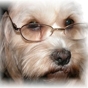 Foto von missemily