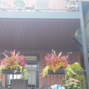 Under Deck Oasis, Chicago, IL