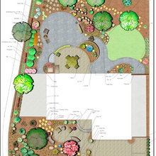 Landscape Ideas