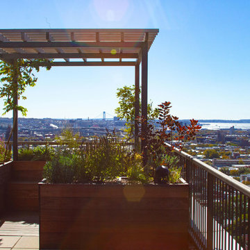 Tropical Rooftop Garden