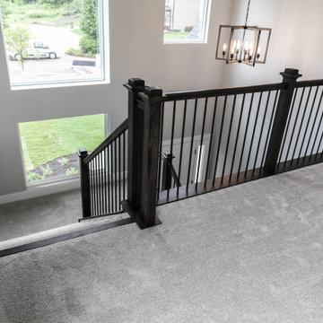 Modified Laguna I | Reserves of Dunmoor Estates Plainfield, IL