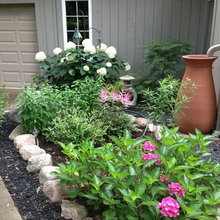 Landscape/garden