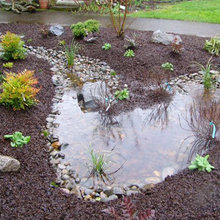 Landscape ideas