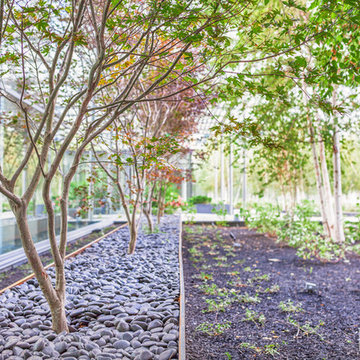 Condominium Courtyard Video Tour - Greater Toronto Area