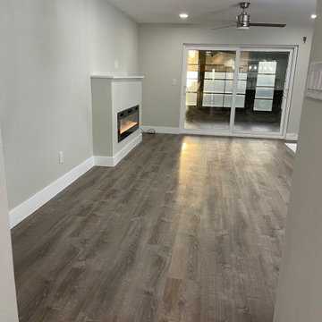 Full Condo Reconstruction - Central