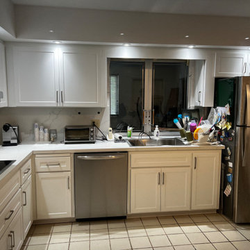 Modern Kitchen Remodel Done in a Shaker Door