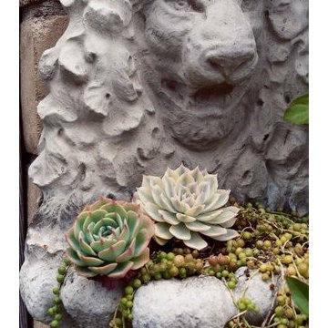 Spanish Interior Design & Garden | Escondido