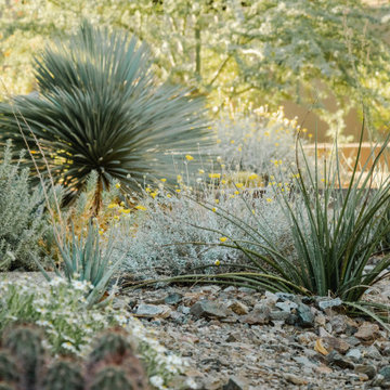 Desert Vista
