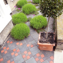 Front Garden Approach