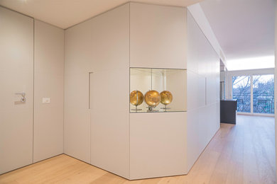 Idee per un ingresso contemporaneo di medie dimensioni con una porta singola