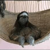 Anna Kuban's photo