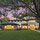 Dream Builders TX