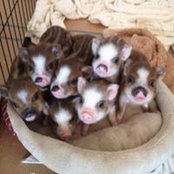 Beth-Ann Schack Bulla's photo