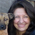 Christine Karnofsky Landscape Design's profile photo