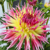 Richa Tagra's photo