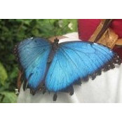 Leti Corona's photo