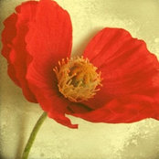 E P's photo