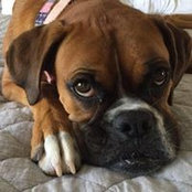 Amy Sheffer's photo