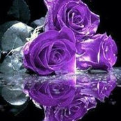 Tammy Doughten's photo