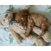Amanda Bindner's photo