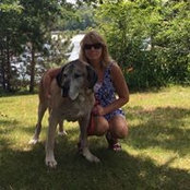 Patti Stenson's photo