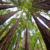 Chris Geldert's photo