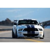 Kash Singh's photo