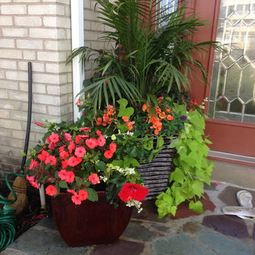Container Gardens