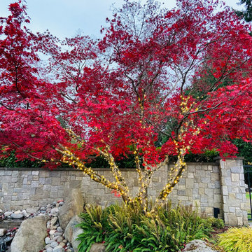 FALL is for COLOR