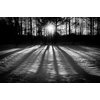 Country Wall Art: Winter Shadows Black & White Landscape Unframed Print, 16" X 20"