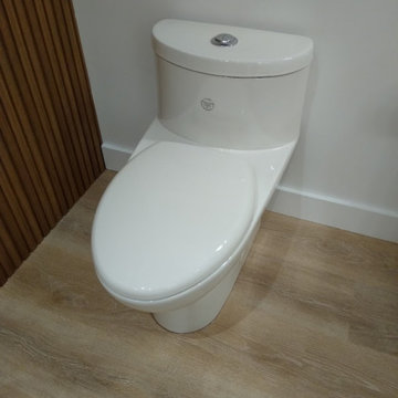 One Piece Toilet