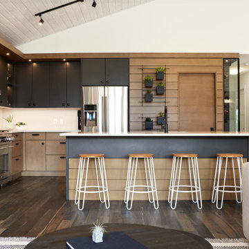 Mountain Modern