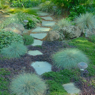 Großer, Halbschattiger Stilmix Kiesgarten im Sommer, hinter dem Haus in San Francisco