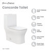 Concorde One Piece Square Toilet Dual Flush 1.1/1.6 gpf, Matte White