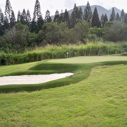 Putting Greens - Products
