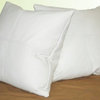Square Genuine Leather Accent Throw Pillows, Set of 2, White, 22"x22"