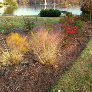 Lake near Fredericksburg, VA: Plant&Sustain for Clean Water