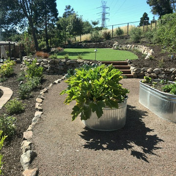 Orinda Ivy Drive Modern