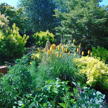The Shay Garden