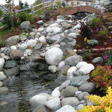 Established landscapes