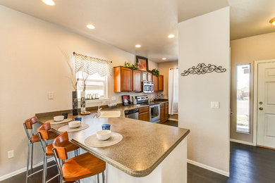 Kitchen - contemporary kitchen idea in Denver