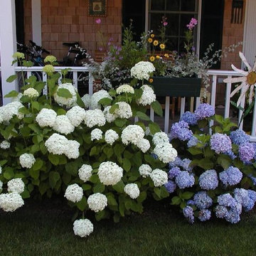 Softscaping