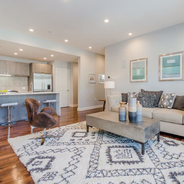 Living Rooms