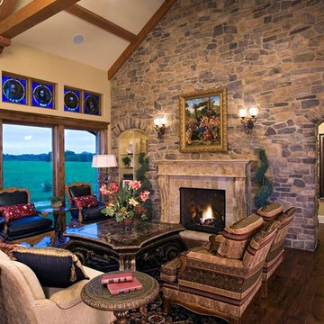 Novus nXt Gas Fireplace