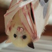 Foto von Cari Sonnefeldt