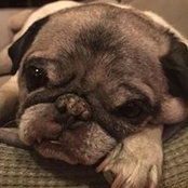 Joe Santangelo's photo