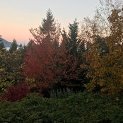 Lisa McGoldrick's photo