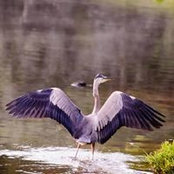 Babs Kavs's photo