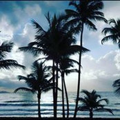Beth Reyes's photo