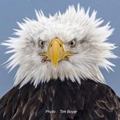 Pierre Desmarteau's photo